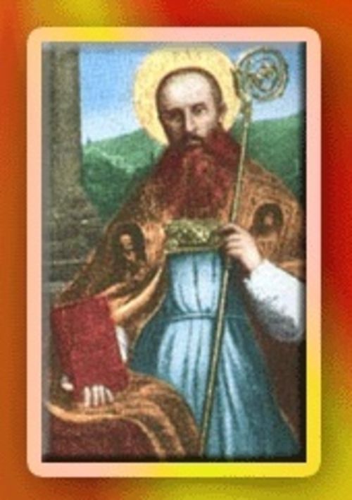 Imagem do santo do dia