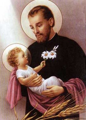 Imagem do santo do dia