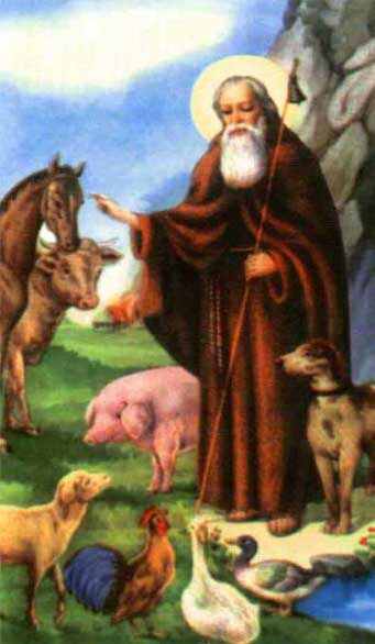 Imagem do santo do dia