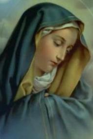 Imagem do santo do dia