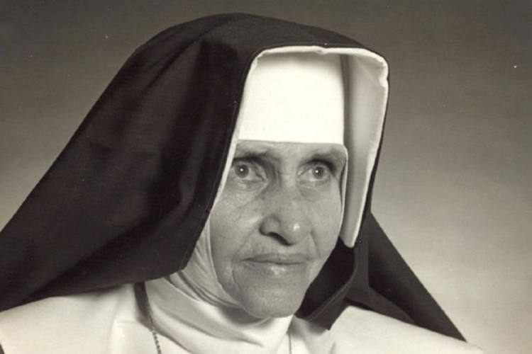 Imagem do santo do dia