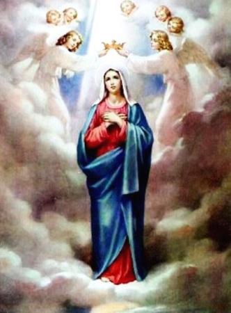 Imagem do santo do dia