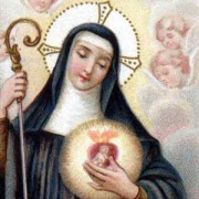 Imagem do santo do dia