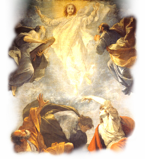Imagem do santo do dia