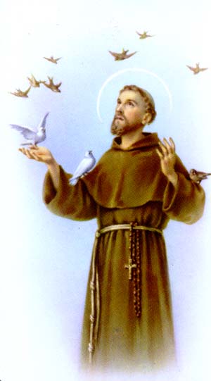 Imagem do santo do dia