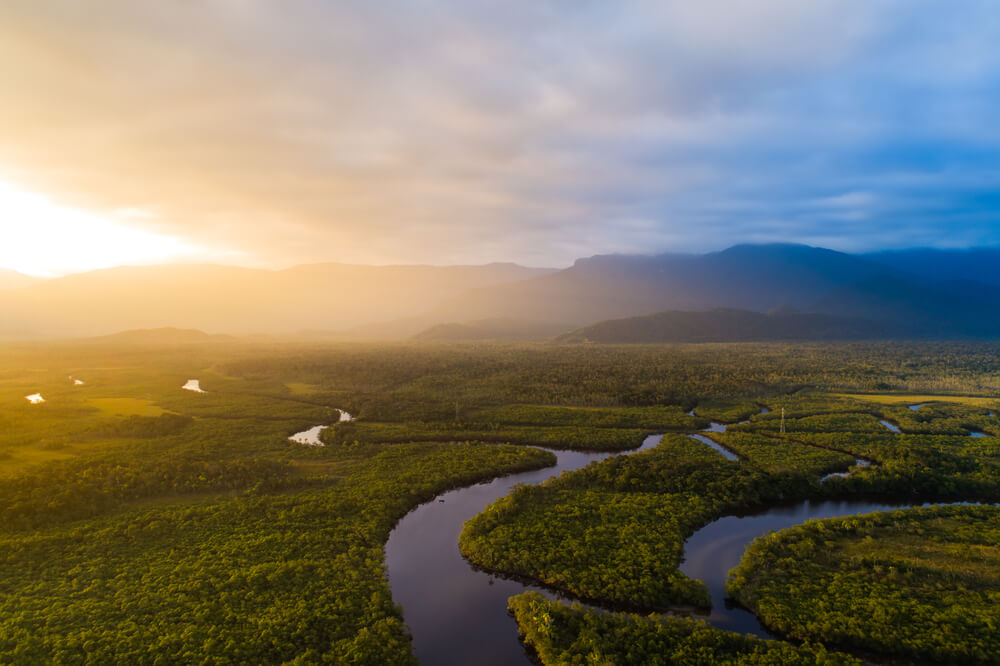 Próxima edição do Sínodo dos Bispos refletirá sobre a Amazônia Próxima edição do Sínodo dos Bispos refletirá sobre a Amazônia