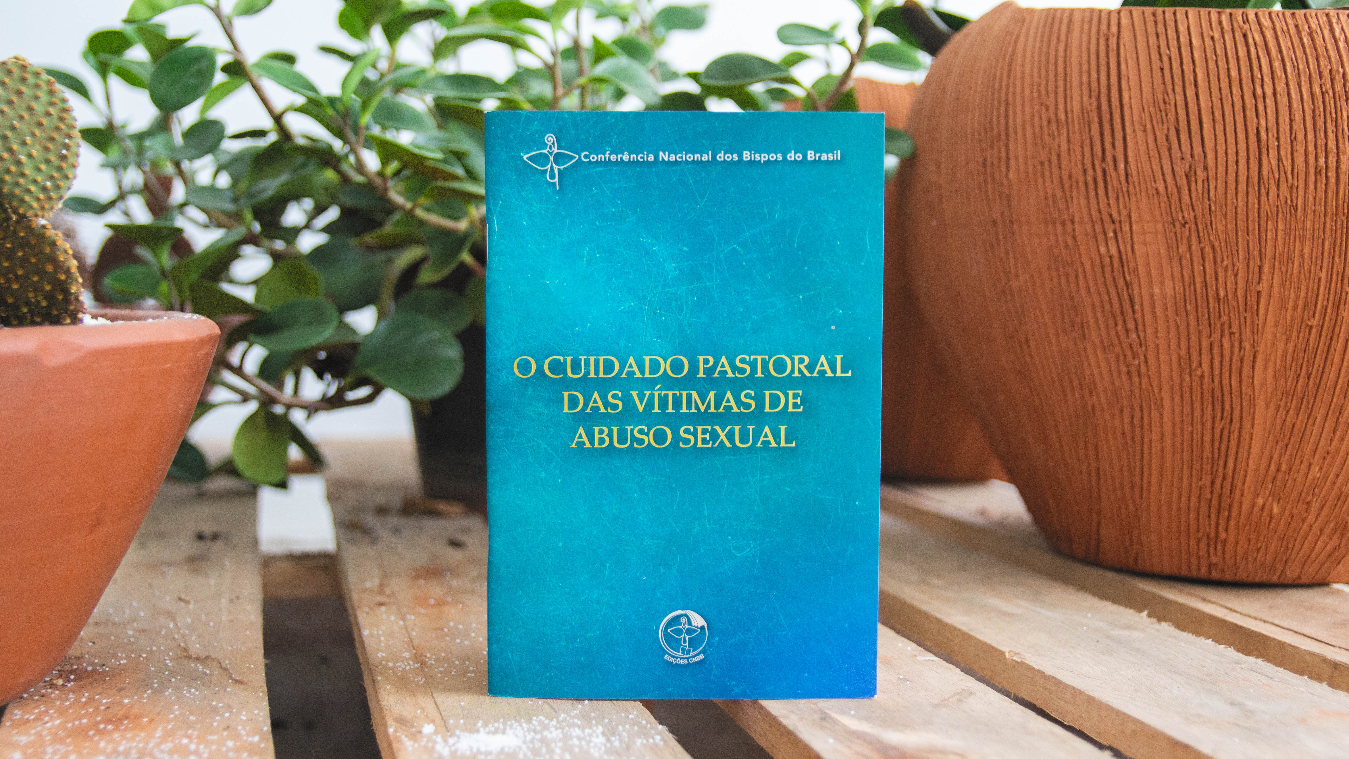 CNBB lança livro com orientações sobre o cuidado pastoral das vítimas de abuso sexual CNBB lança livro com orientações sobre o cuidado pastoral das vítimas de abuso sexual