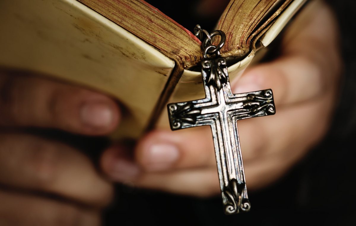 Igreja no Brasil trabalha para promover uma cultura vocacional Igreja no Brasil trabalha para promover uma cultura vocacional